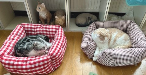 thumbnail_IMG_3044