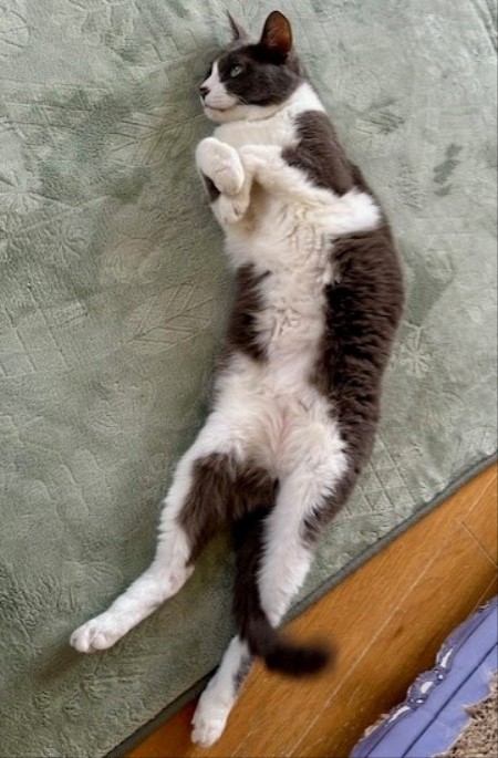 thumbnail_IMG_2837 (1)