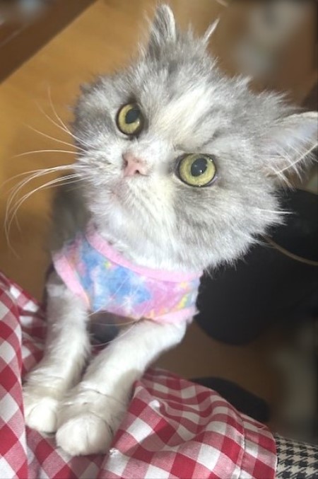 thumbnail_IMG_7829 (1)