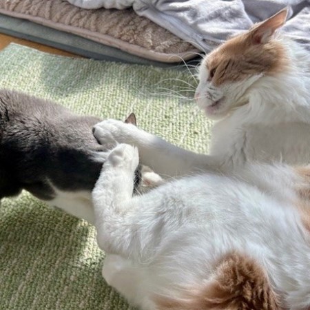 d7b7e0a7-2375-4d50-ad64-cdbce3babae2