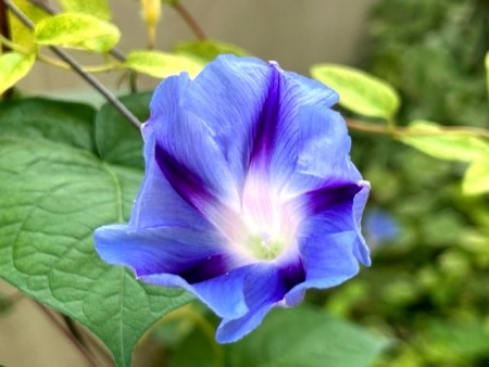 thumbnail_IMG_6577