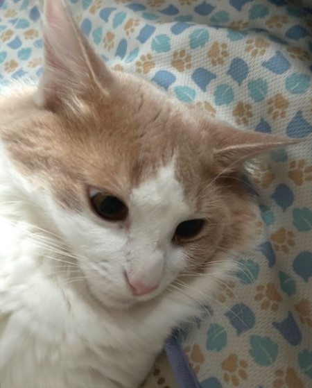 thumbnail_IMG_3243 (1)