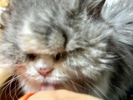 thumbnail_IMG_6003 (3)