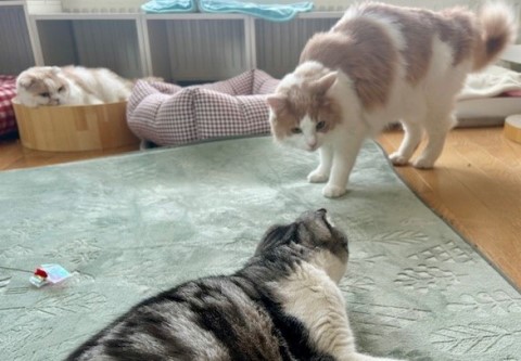 thumbnail_IMG_5181 (1)