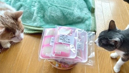 thumbnail_IMG_3486 (1)