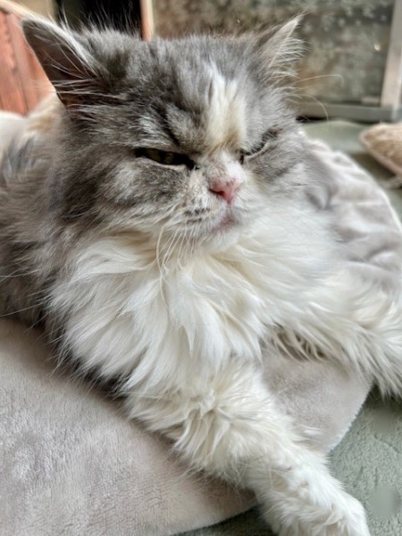 thumbnail_IMG_4743 (1)