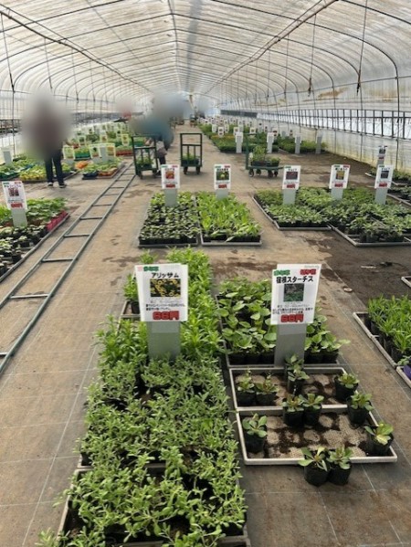 thumbnail_IMG_9229 (1)