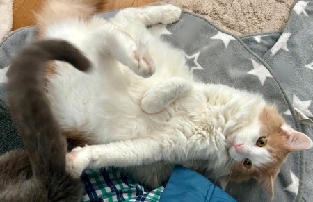 thumbnail_IMG_4304 (1)