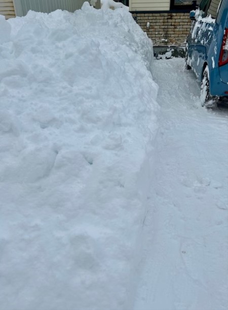 e25e117b-74c6-4548-b801-e8c0a14722b7