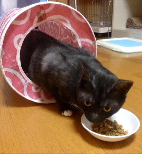 photo:02