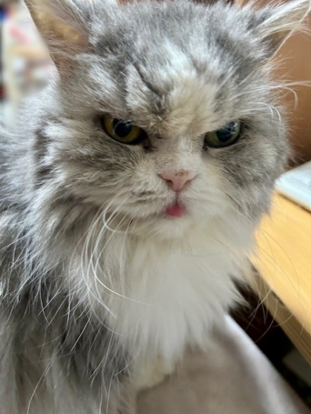 02c6734d-3d57-4531-ad65-3e5e2607a688