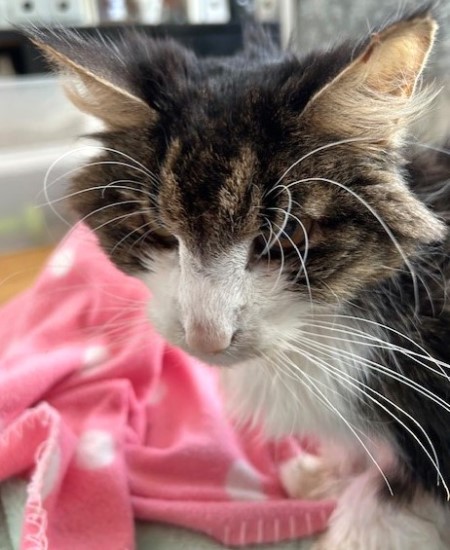 thumbnail_IMG_7723 (2)