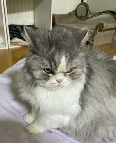 2860