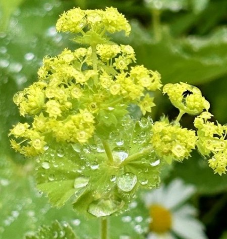 thumbnail_IMG_8027 (1)