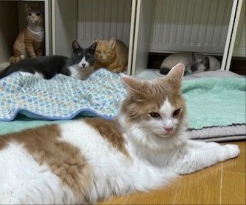 thumbnail_IMG_5316 (1)