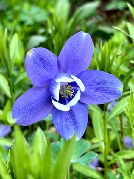 thumbnail_IMG_6331 (1)