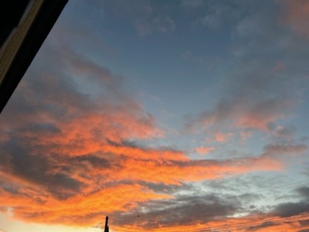 thumbnail_IMG_0438 (1)