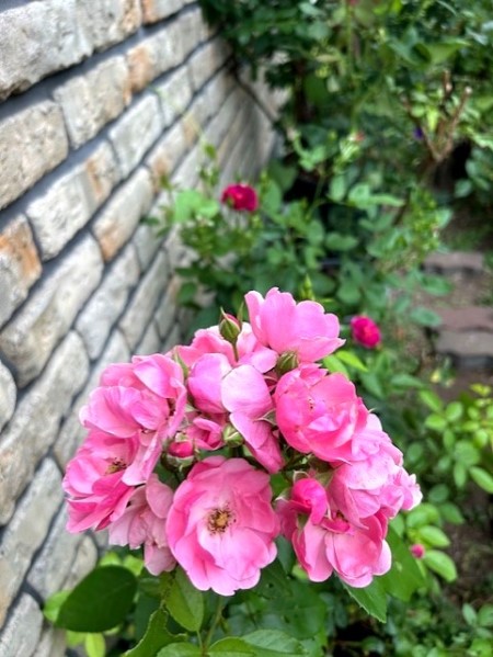 thumbnail_IMG_3402_1