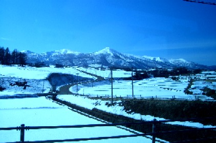 CIMG7484