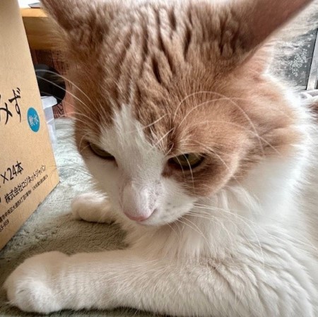 thumbnail_IMG_2883 (2)