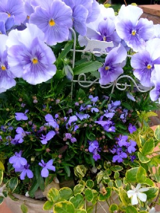 2009_05300002