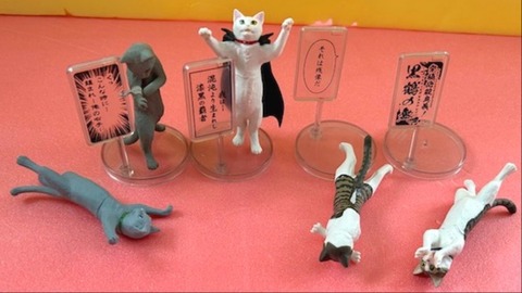 thumbnail_IMG_2425 (2)