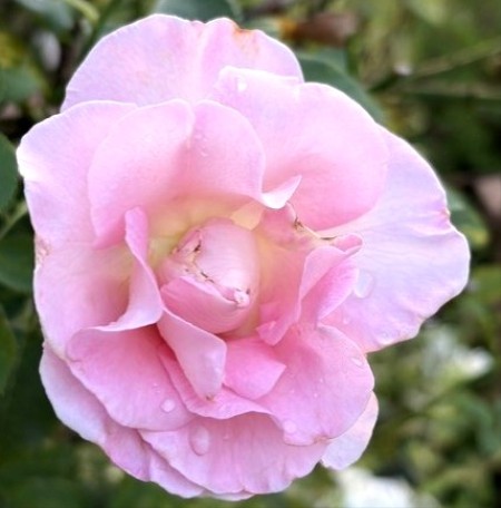 467325bd-16a2-41f3-8a48-2a379dfef60a