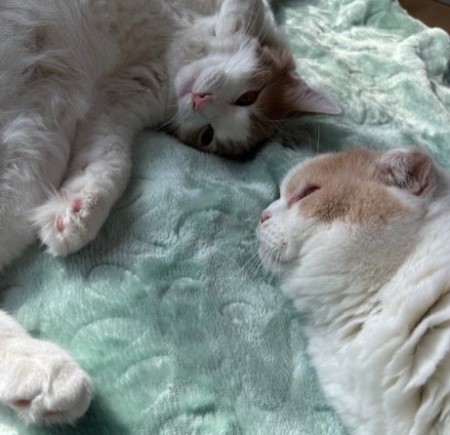 thumbnail_IMG_7821 (1)