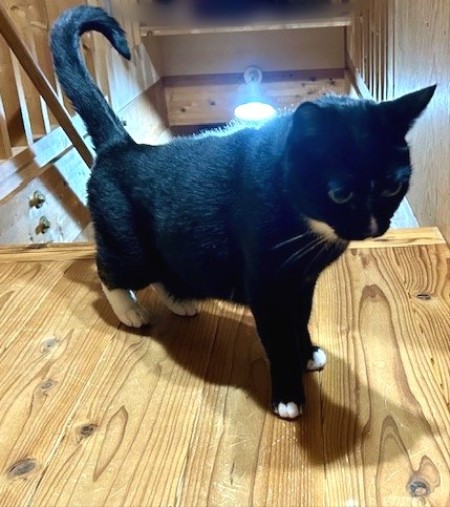 7e602634-d494-441a-b13a-0e7c2464b083