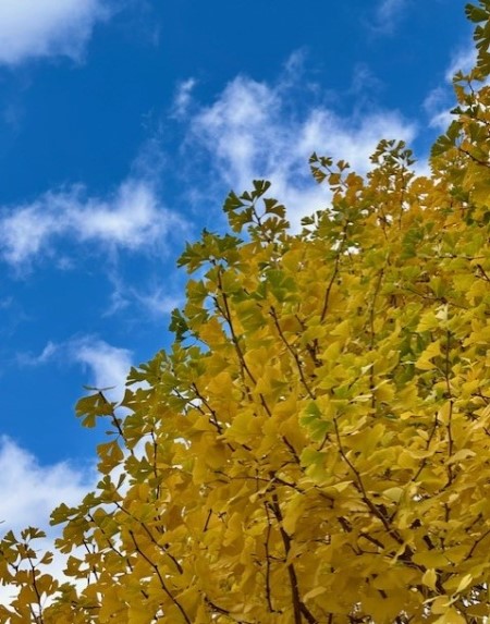 thumbnail_IMG_8012 (2)