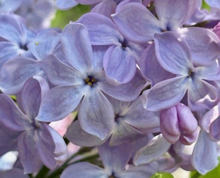 thumbnail_IMG_6839 (1)