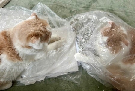 thumbnail_IMG_2777 (1)