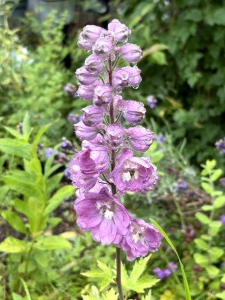 adcaa341-d4eb-4ec9-af8d-f6c0e6382708