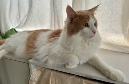 thumbnail_IMG_2713 (1)