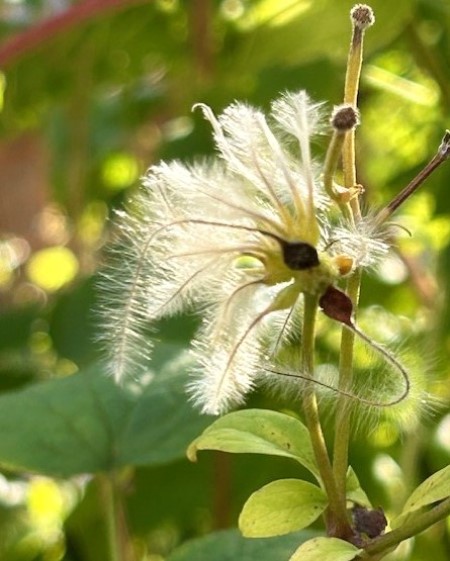 thumbnail_IMG_7163 (1)