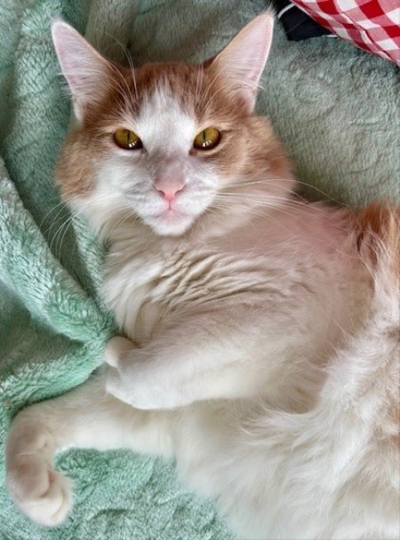 thumbnail_IMG_0185 (1)