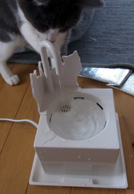 「猫だらけ」