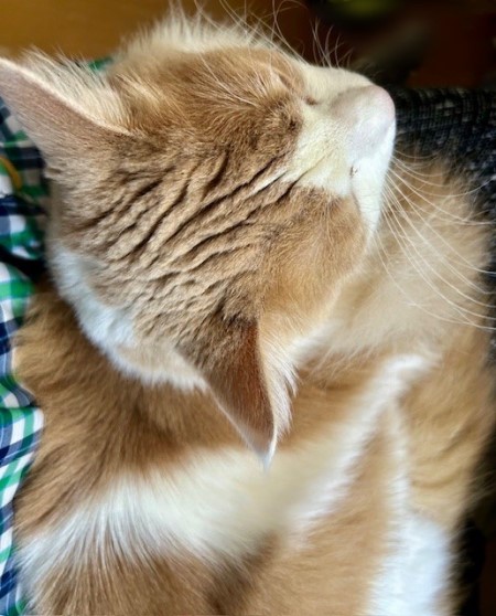 thumbnail_IMG_2873 (1)