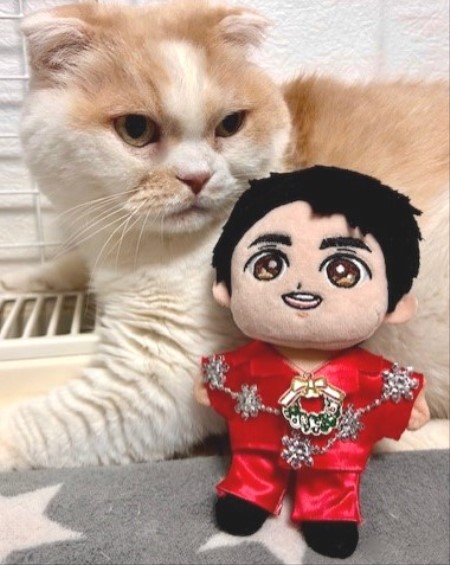 thumbnail_IMG_5748 (3)