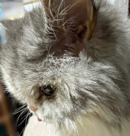 8022ca51-79d3-4dfb-a051-a4f34b56ee75