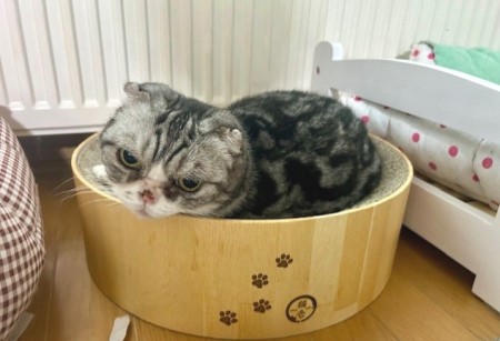 thumbnail_IMG_3458 (1)