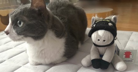 thumbnail_IMG_0613 (2)