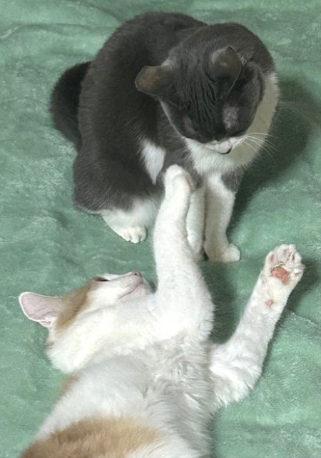 thumbnail_IMG_3136 (2)