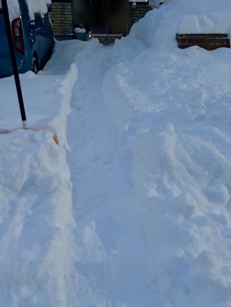 08a668f3-2a95-4f84-83a7-6e47ac30ef14