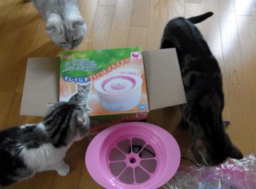 「猫だらけ」