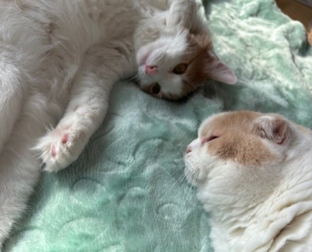 thumbnail_IMG_7816 (1)