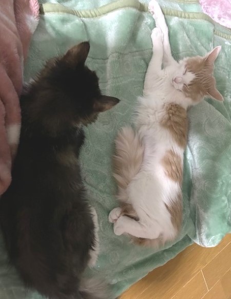 thumbnail_IMG_4728 (1)