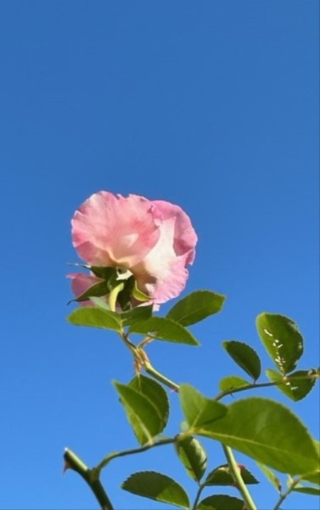thumbnail_IMG_9137