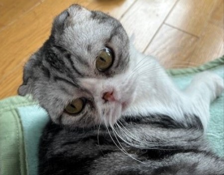 thumbnail_IMG_8013 (1)