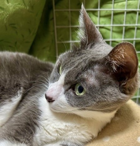 thumbnail_IMG_5332 (1)